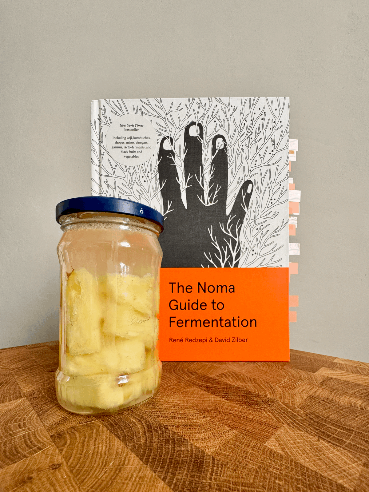 About the Noma Guide to Fermentation