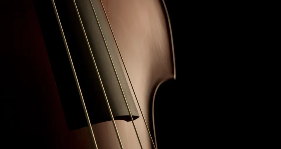 Vioara cea mare a lui Vlad